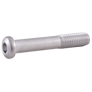 Savage Arms Action Screw (Rear) for Model 12 with Laminate Stock Hex Head Stainless Steel - Savage Arms