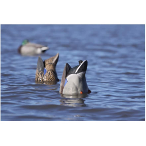 GHG Pro-Grade Weighted Keel Mallard Duck Decoys Butt-Up Feeder 2PK - Ghg