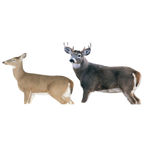 Montana Decoy Whitetail Dream Team Deer Decoy Combo - Montana Decoy