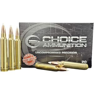Choice 300 Winchester Magnum Ammo 180 Grain Nosler AccuBond Polymer Tip Box Of 20 ice 300 Winchester Magnum 180 Grain Nosler AccuBond Polymer Tip Box Of 20 Ammo