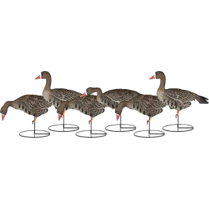 Dakota Decoys X-treme Fully Flocked Specklebelly Goose Decoys 6PK