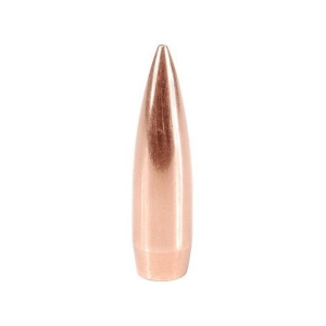 FACTORY SECOND BULLETS Factory Second Match Bullets 30 Caliber (308 Diameter) 155 Grain Palma Hollow Point Boat Tail Box of 100 (Bulk Packaged)