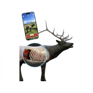 Delta McKenzie XRay Series Elk 3D Archery Target