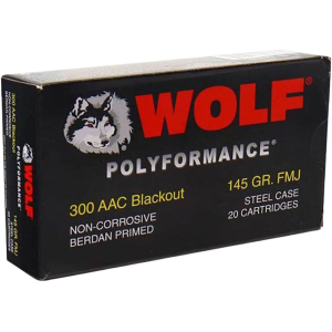 f Polyformance Steel Case 300 AAC Blackout 145 Grain Full Metal Jacket Case Of 500 (25 Boxes Of 20) Ammo