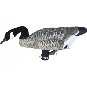 GHG Finisher Swimmer Canada Goose Decoy