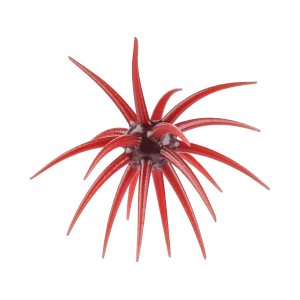 Berkley Berkley PowerBait MaxScent 'Moeba 4.5" Urchin Bloodshot - $14.99 at MidwayUSA