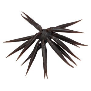 Hideup Hideup Coike Fish Elastomer Medium Urchin Green Pumpkin - $22.49 at MidwayUSA
