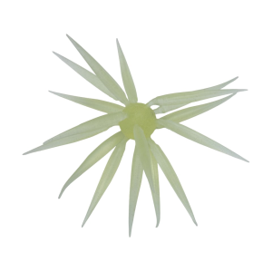 Hideup Hideup Coike Fish Elastomer Medium Urchin Squash Lemon - $22.49 at MidwayUSA