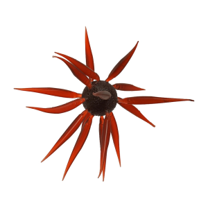 Hideup Hideup Coike Fish Elastomer Medium Urchin Scuppernong - $22.49 at MidwayUSA