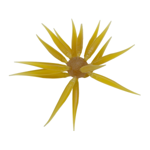 Hideup Hideup Coike Fish Elastomer Medium Urchin Kuririnkintoki - $22.49 at MidwayUSA