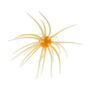 Hideup Hideup Coike 17mm Urchin Kuririnkintoki - $20.49 at MidwayUSA