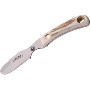 Knives of Alaska Muskrat Fixed Blade Knife 2.25" Caping D2 Bead Blasted Blade Stag Handle - Knives Of Alaska