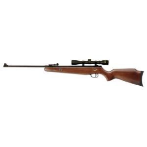 Beeman Teton 22 Caliber Pellet Air Rifle with Scope - Beeman
