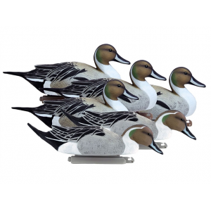 Higdon Battleship Foam Filled Pintail Drakes Only Duck Decoy Polymer 6PK - Higdon