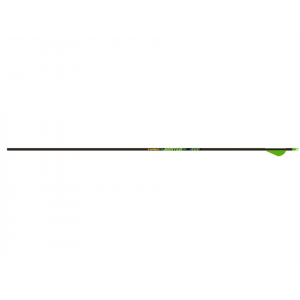 Gold Tip Hunter XT 300 Carbon Arrow 2" Vanes 12PK - Gold Tip