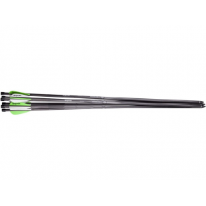 Benjamin Pioneer PCP Airbow 26" Carbon Arrows 6PK - Benjamin