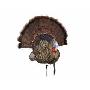 Avian X Turkey Trophy Tom Decoy & Taxidermy Mounting Kit