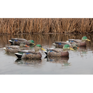 Avian X Topflight Early Season Mallard Duck Decoy 6PK - Avian X