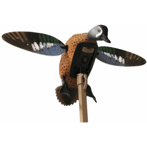 MOJO Elite Series Blue Wing Teal Motion Duck Decoy