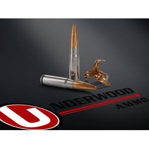 erwood 300 AAC Blackout 194 Grain Lehigh Maximum Expansion Solid Hollow Point Lead Free Box Of 20 Ammo
