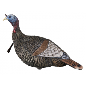 Flextone Thunder Jake 1/4 Strut Jake Turkey Decoy - Flextone