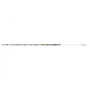 Gold Tip Ted Nugent 400 Carbon Arrow 2" Vanes Black and White 6PK
