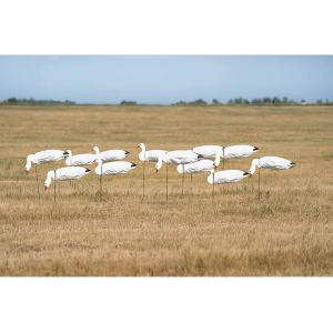 GHG Pro Grade Snow Goose Sock Decoys