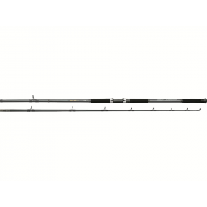 Daiwa Sealine Surf 9' Casting Rod Hvy