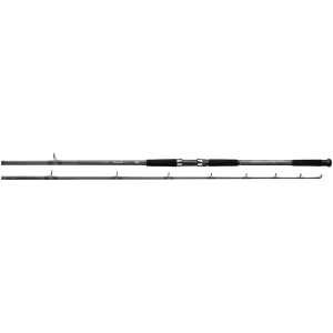 Daiwa Sealine Surf 9' Spinning Rod Med Hvy - Daiwa