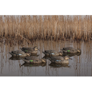 Avian X Topflight Early Season Teal Duck Decoy 6PK - Avian X