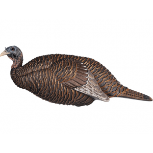 Flextone Thunder Chick Breeder Hen Turkey Decoy