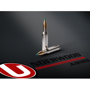 erwood 308 Winchester 180 Grain Sierra GameChanger Polymer Tip Box Of 20 Ammo