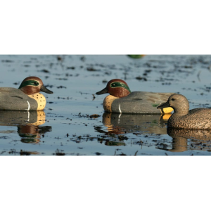GHG Life-Size Green Wing Teal Duck Decoy 6PK - Ghg