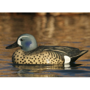 GHG Life-Size Blue Wing Teal Duck Decoy 6PK - Ghg