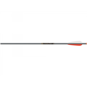 EASTON Magnum 20