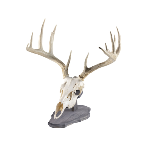 Walnut Hollow Country Rustic Pine European Mount Display - Walnut Hollow Country