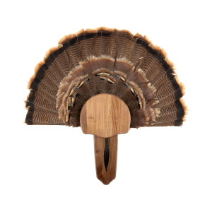 Walnut Hollow Country Walnut Turkey Mounting Kit - Walnut Hollow Country