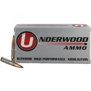 erwood 300 AAC Blackout 125 Grain Nosler Ballistic Tip Polymer Tip Box Of 20 Ammo