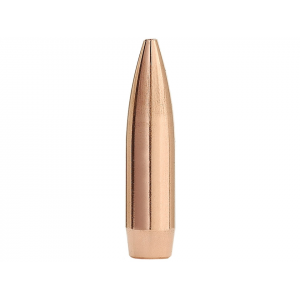 FACTORY SECOND BULLETS Factory Second Match 22 Caliber (224 Diameter) Bullets 77 Grain Jacketed Hollow Point Box of 100 (Bulk Packaged)