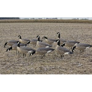 Avian X Flocked Outfitter Pack Lesser Canada Goose Decoy with Slot Bag Pack of 12