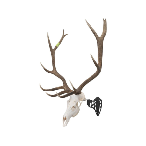 Allen EZ Mount Magnum Skull Hanger European Mount Display