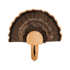 Walnut Hollow Country Cherry Turkey Mounting Kit - Walnut Hollow Country