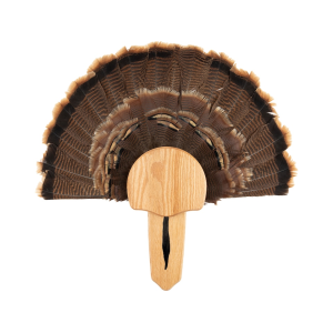 Walnut Hollow Country Oak Turkey Mounting Kit - Walnut Hollow Country