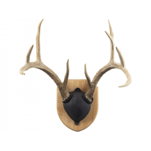 WALNUT HOLLOW COUNTRY Oak Antler Mounting Kit