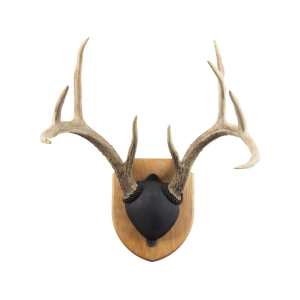 Walnut Hollow Country Cherry Antler Mounting Kit - Walnut Hollow Country
