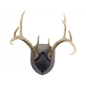 WALNUT HOLLOW COUNTRY Rustic Pine Antler Mounting Kit