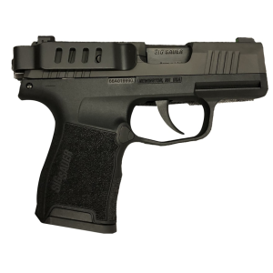 TECHNA CLIP Gun Belt Clip IWB Holster Ambidextrous Sig Sauer P365 Steel Black
