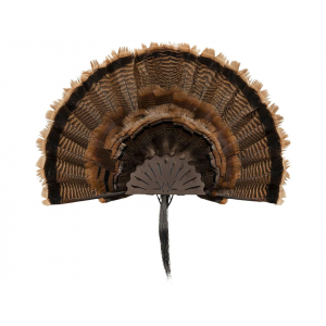 Allen EZ Mount Turkey Mounting Kit Brown - Allen