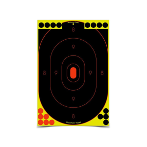 BIRCHWOOD CASEY Shoot-N-C Target 12