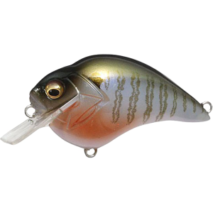 MEGABASS S-Crank 1.5 Square Bill Crankbait Secret Gill